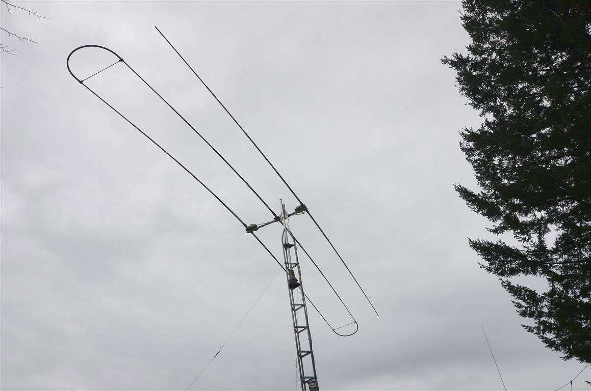 SteppIR 2E 40m, Surrey, BC-Canada
